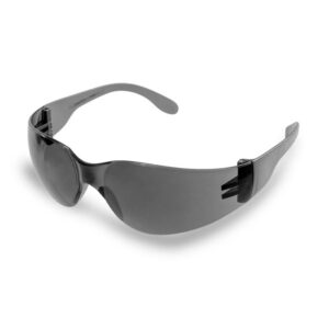 Óculos de Proteção com Lente Cinza